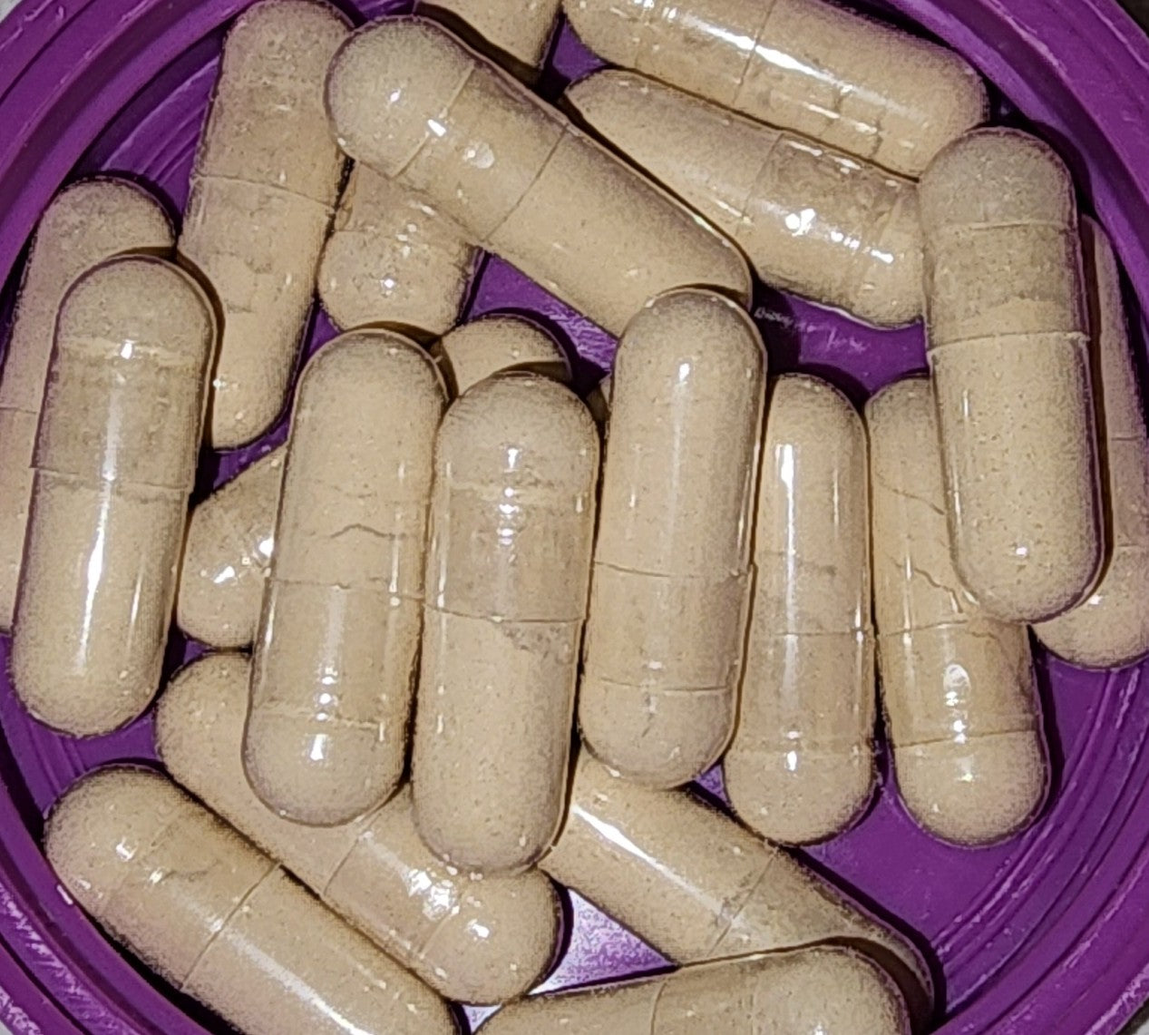 Ashwaghanda Capsules 90ct